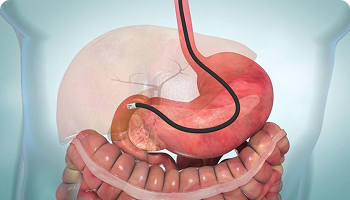 DIAGNOSTIC SERVICES