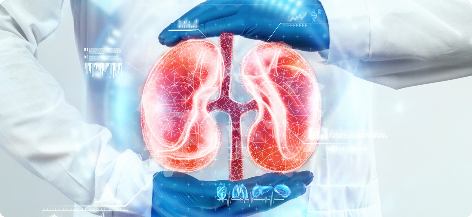Doctor wearing a lab coat and blue gloves holds a digital 3D hologram of human kidneys, surrounded by medical data graphics