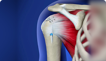 DIAGNOSTIC SERVICES