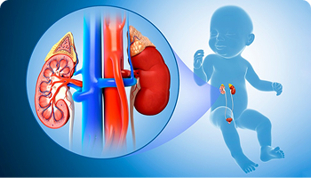 DIAGNOSTIC SERVICES